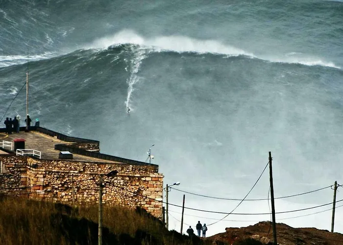 Проживание в семье Vivenda Godinho *